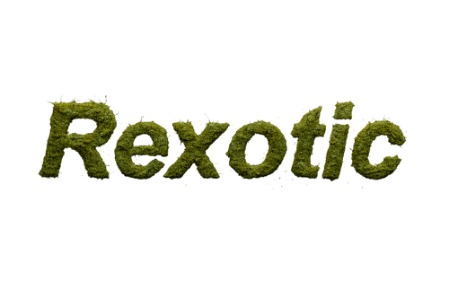 Rexotic