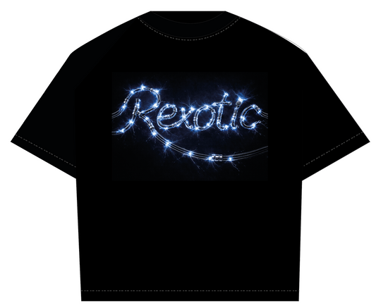 Metallic T Shirt: Oversized Heavyweight, Ultra Soft Long-Staple Cotton