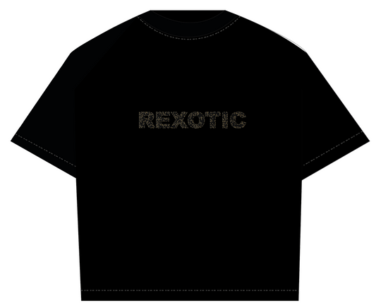 3D T Shirt: Oversized Heavyweight, Ultra Soft Long-Staple Cotton