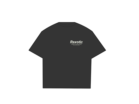 Regular Fit (Algodón premium de certificación )