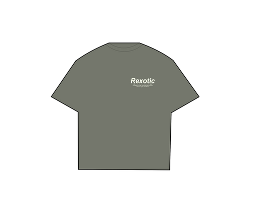 Regular Fit (Algodón premium de certificación )